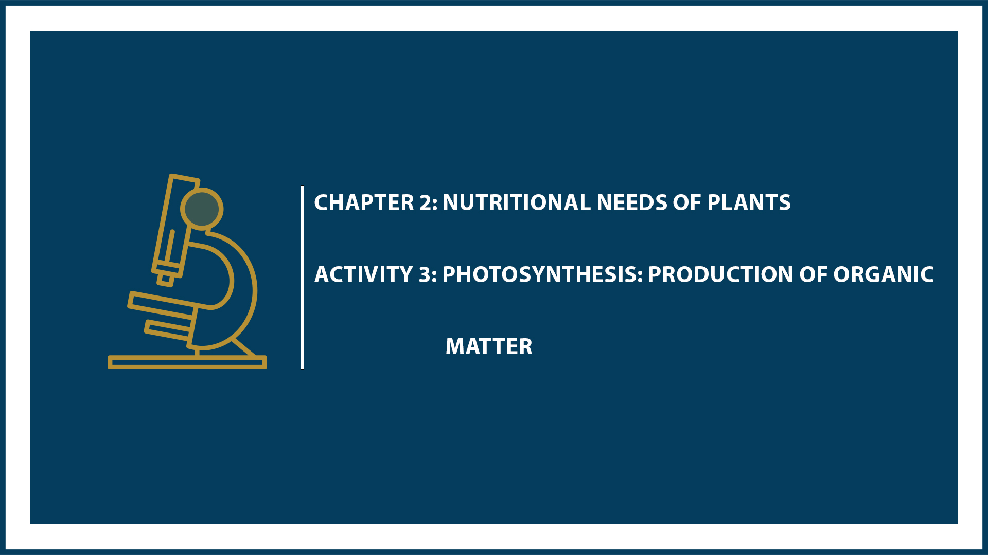 Chapter 2: Activity 3: Photosynthesis: Production of Organic Matter